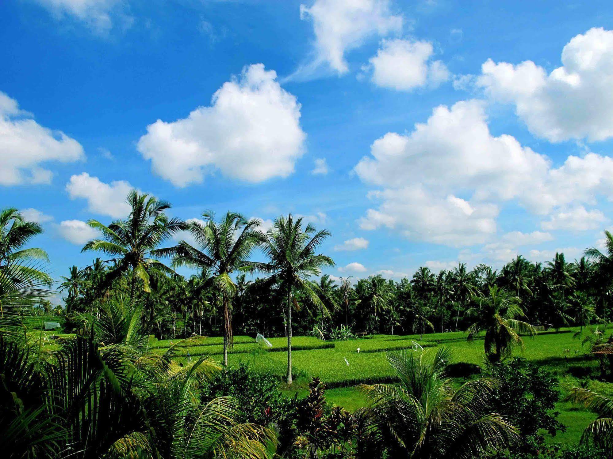 Puri Suksma Ubud Exterior photo